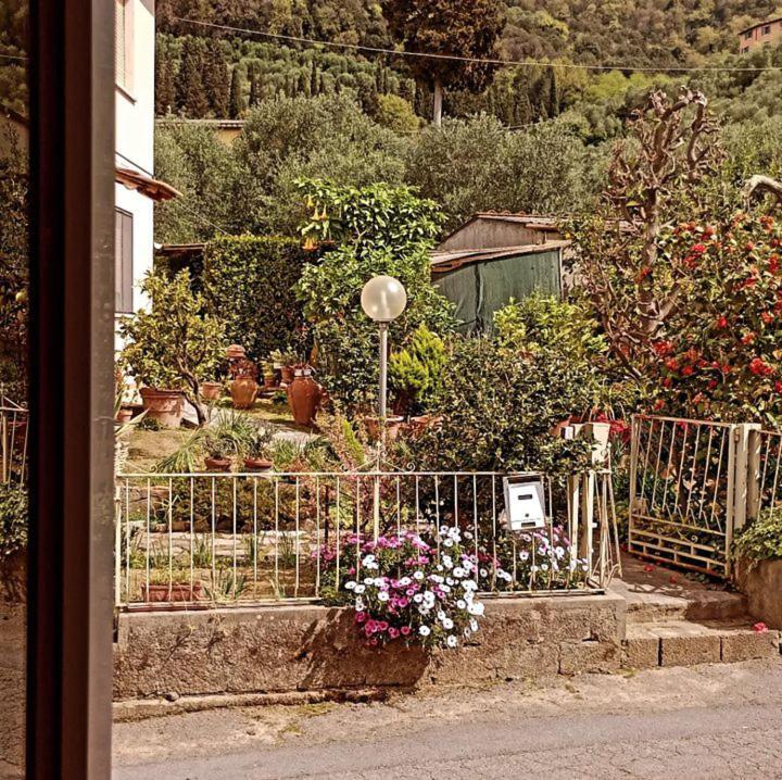 Casa Vacanze Toscana,Lago Di Massaciuccoli Exteriör bild