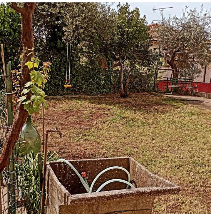 Casa Vacanze Toscana,Lago Di Massaciuccoli Exteriör bild